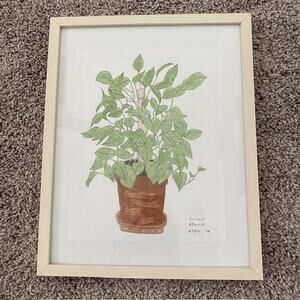 Original Art Philodendron "Little Mama" April‎ 2016 Pencil Drawing Framed